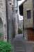 photo49_small.jpg